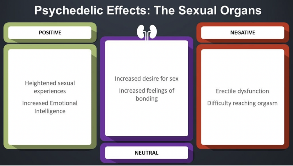 psychedelic_effects_in_sexual_organs