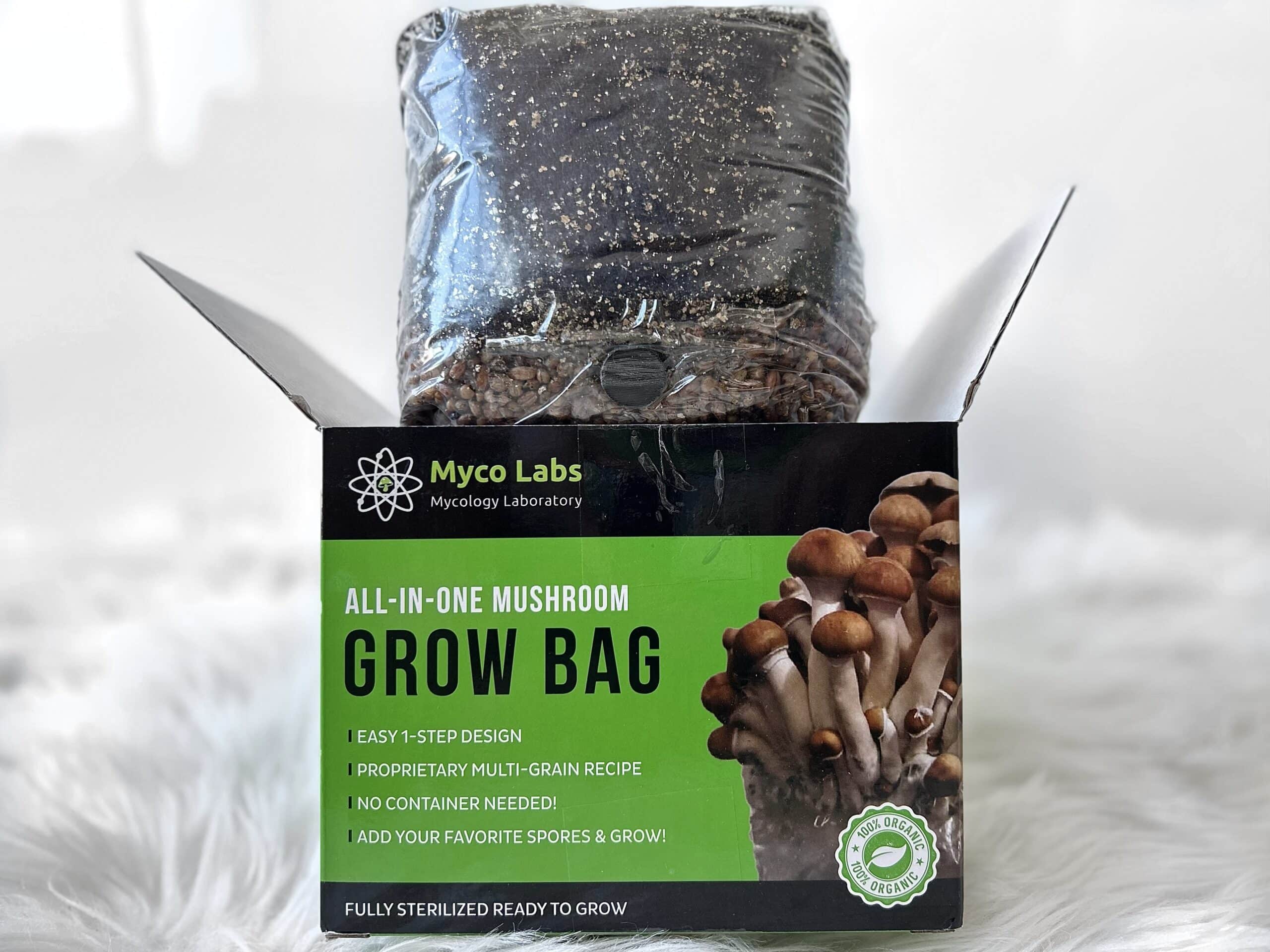 Midwest Grow Kit All In One Mushroom Grow Bag
