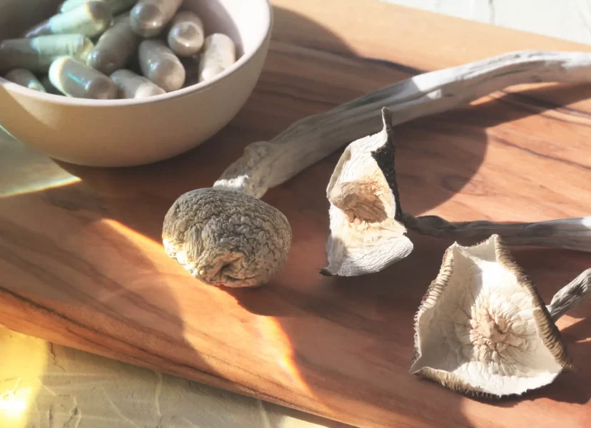 dried magic mushrooms laying on cutting board